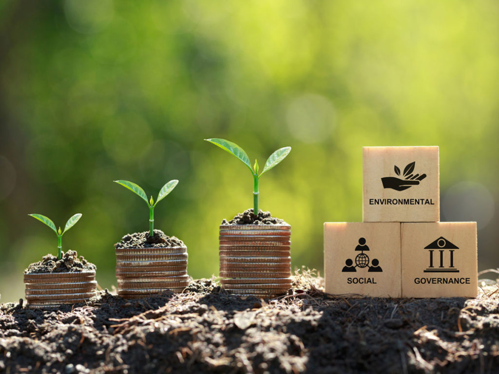 Three building blocks and three green sprouts of a plant