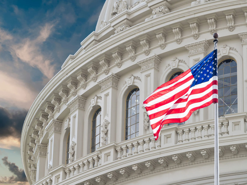 US Flag and Capital