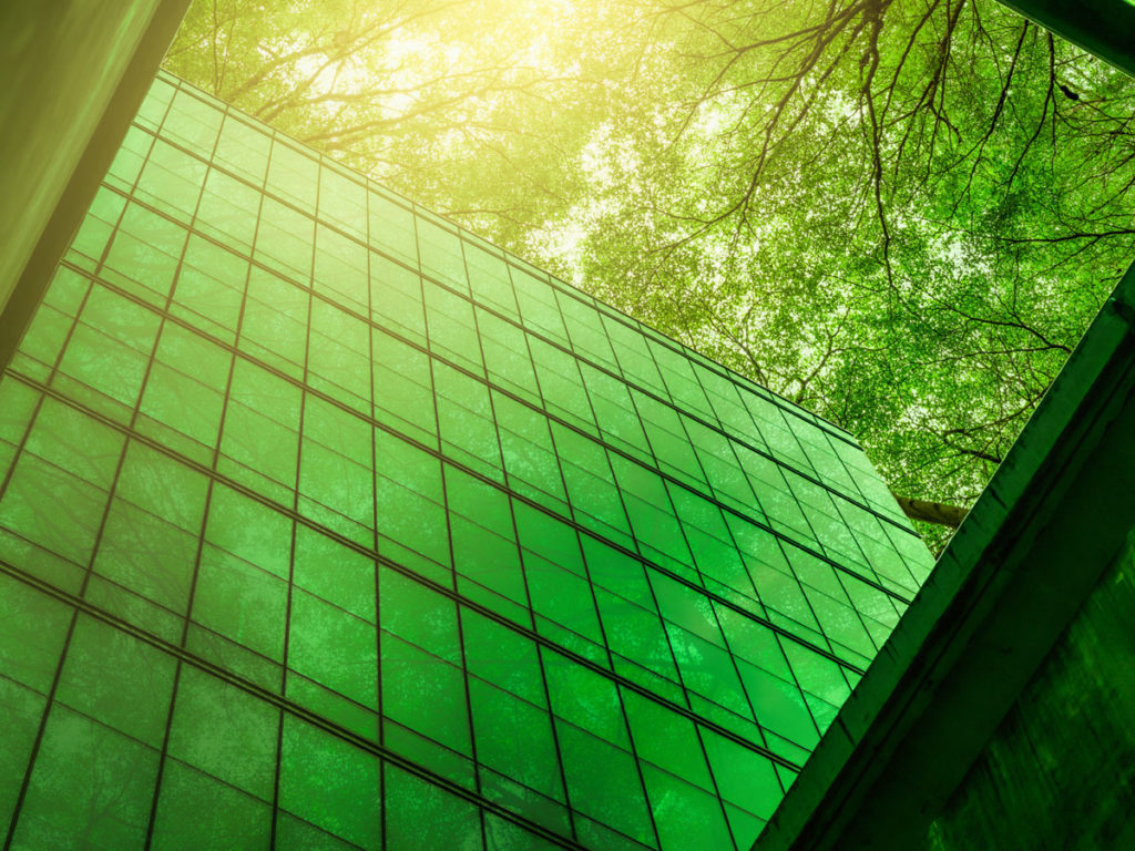 Aerial view of green trees